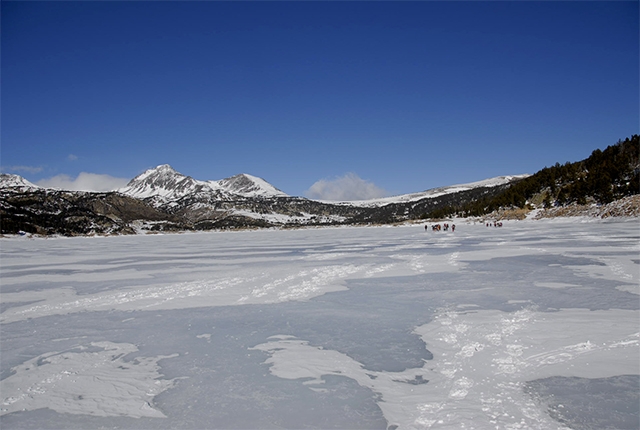 2 igloo josquin 8.jpg